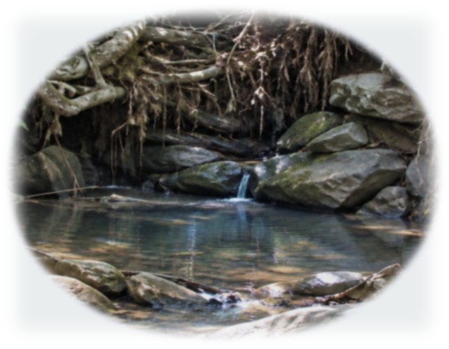 Mountain Stream